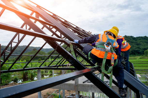 Best Roof Leak Repair  in Osceola, WI