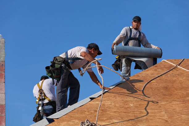 Best Best Roofing Contractors  in Osceola, WI
