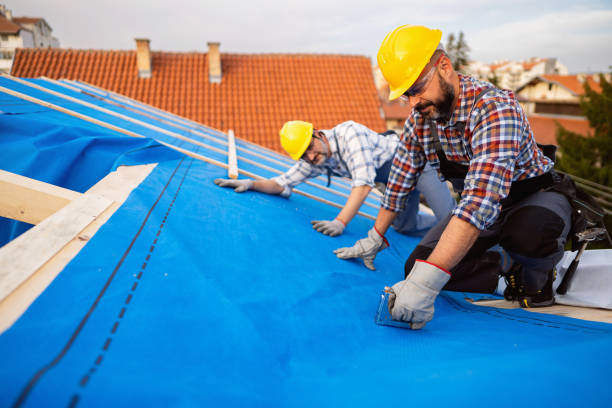 Best Flat Roof Repair Services  in Osceola, WI
