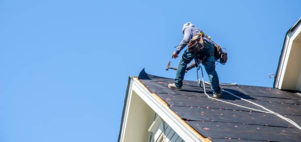 Best Metal Roofing Contractor  in Osceola, WI